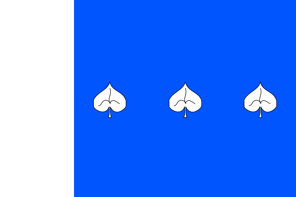 Fayl:Cidlina TR flag.svg