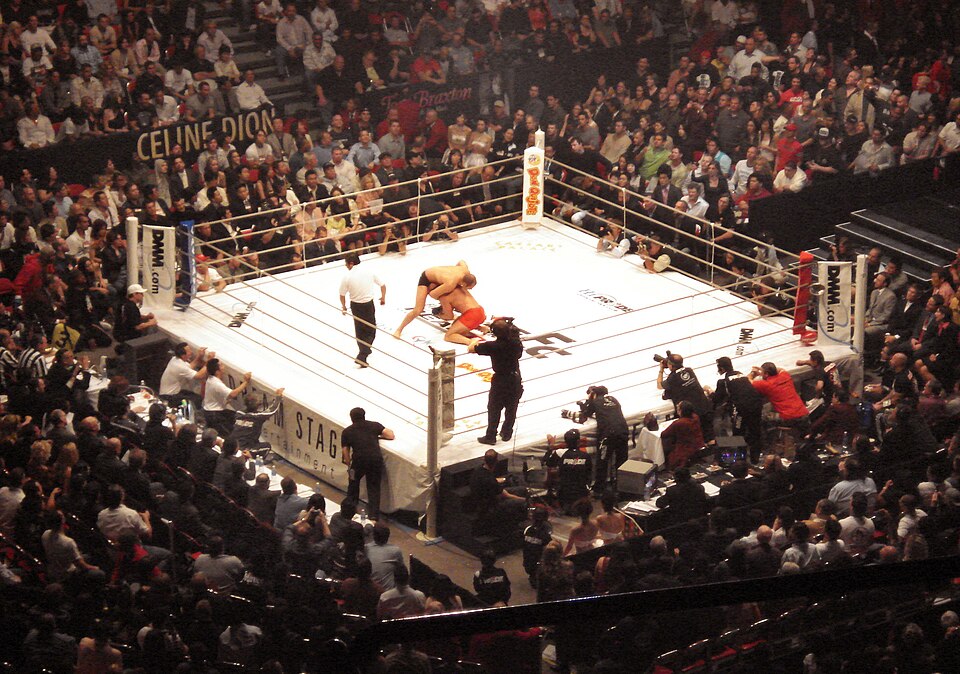 Fayl:Fedor vs Coleman.JPG