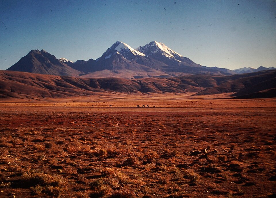 Fayl:Mountains yaks Manasarovar pilgrimage trail.jpg