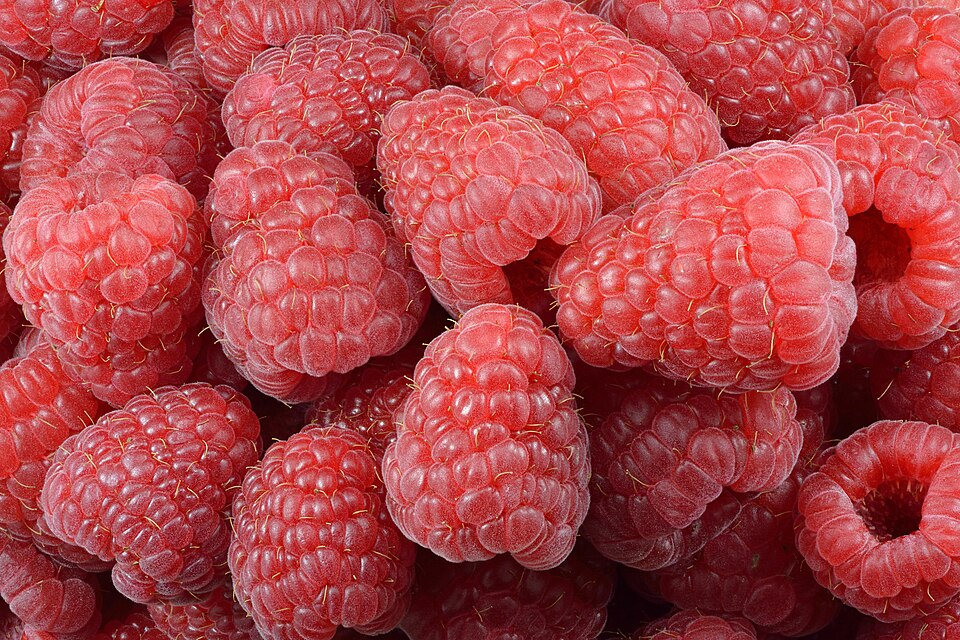 Fayl:Raspberries (Rubus idaeus).jpg