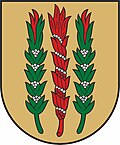 Zujūnai