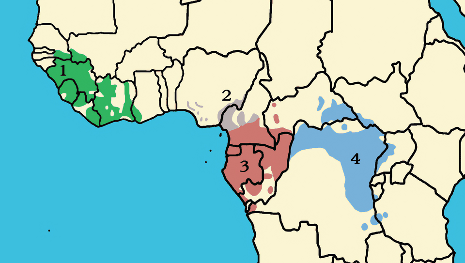 Fayl:Pan troglodytes area.png