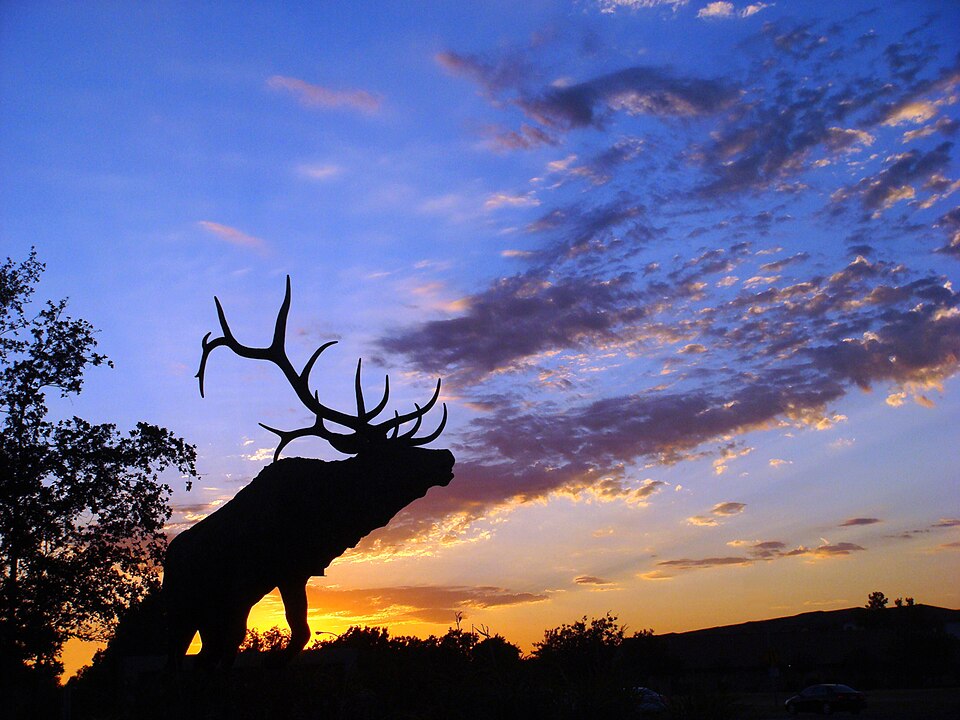 Fayl:Sunset Laguna Blvd.jpg