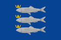 Sxeveningenning bayrogʻi