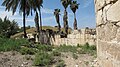 Qasr al-Minya, Isroil