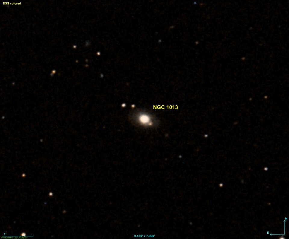 Fayl:NGC 1013 DSS.jpg