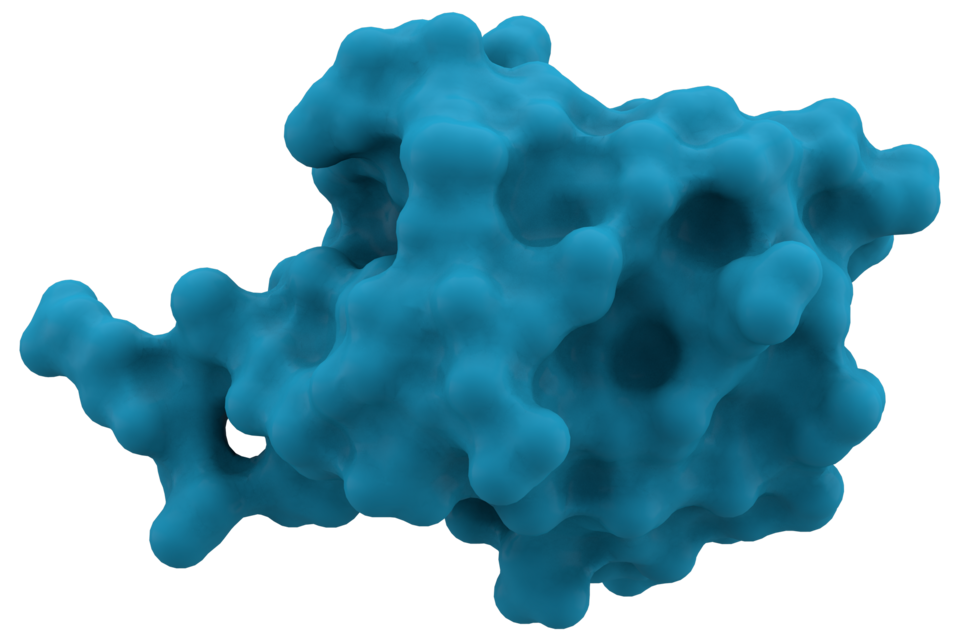 Fayl:Ubiquitin 1UBQ surface.png