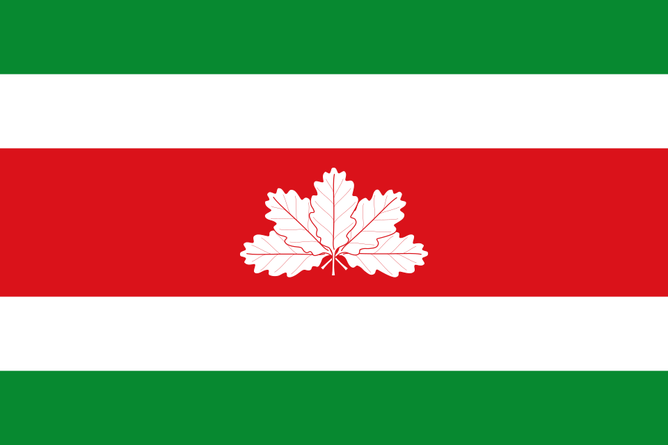 Fayl:Flag of Boyacá Department.svg