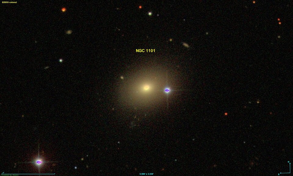 Fayl:NGC 1101 SDSS.jpg