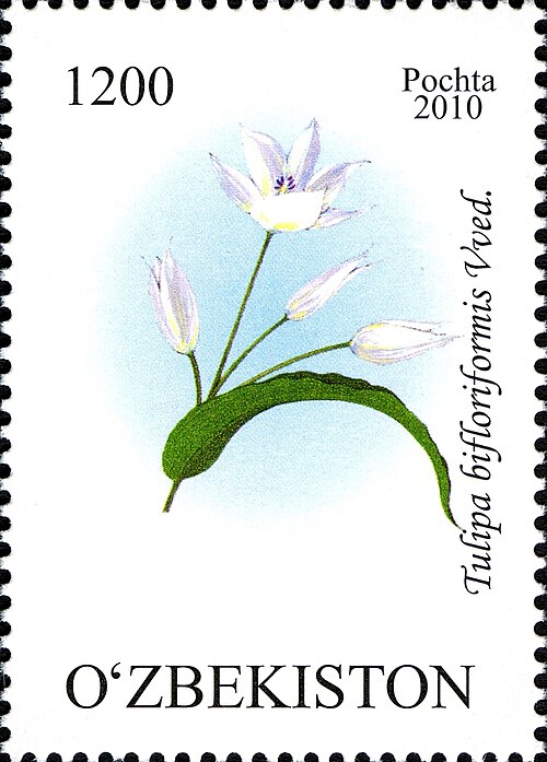 Fayl:Stamps of Uzbekistan, 2010-70.jpg