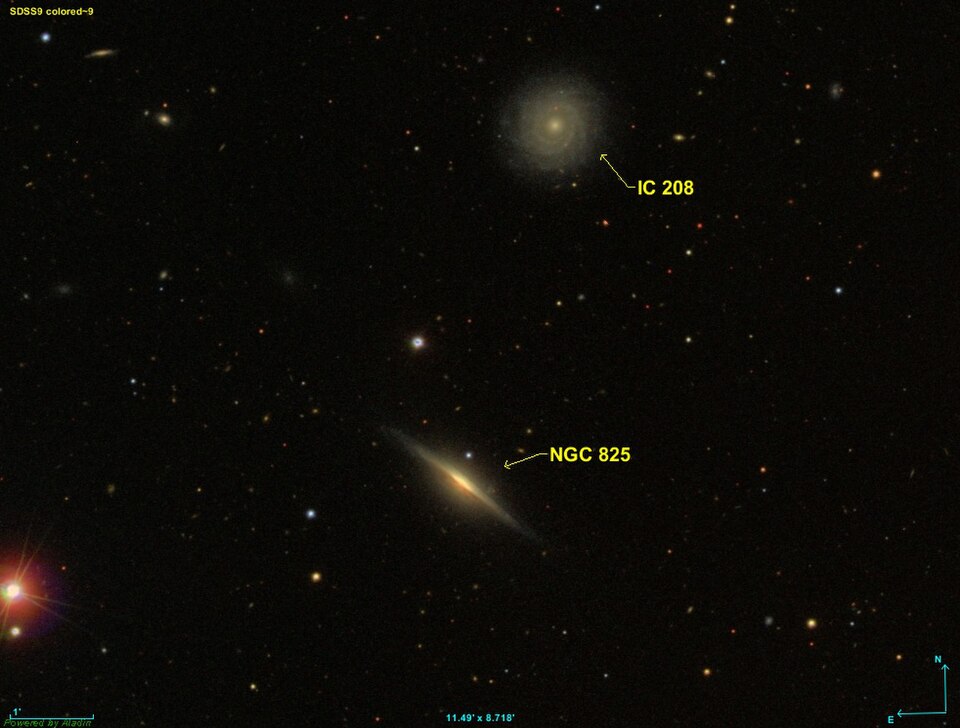 Fayl:NGC 0825 SDSS.jpg