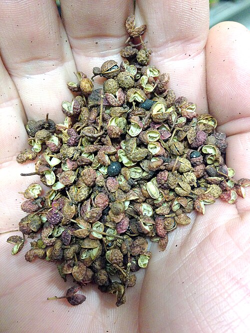 Fayl:Sechuan pepper.jpg