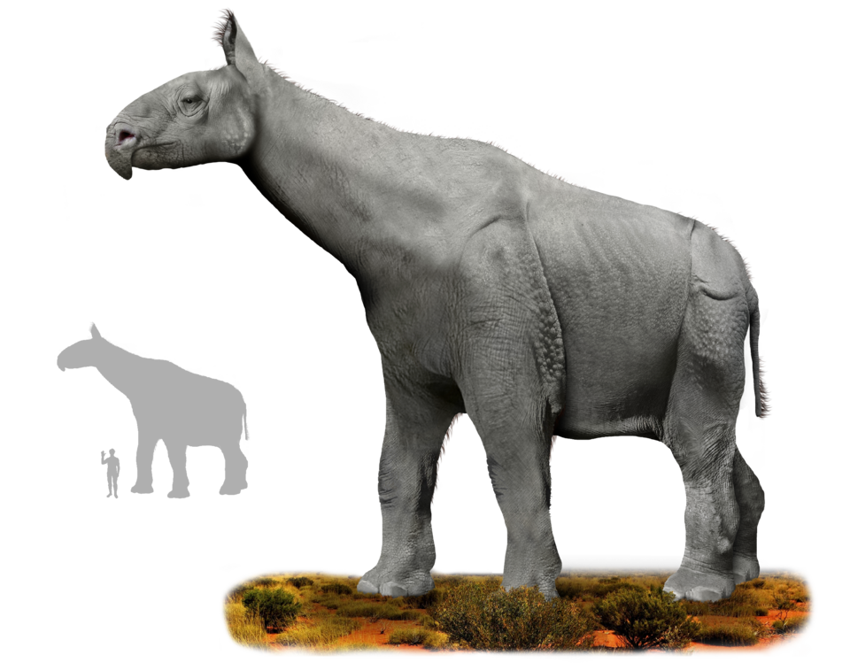 Fayl:Indricotherium.png