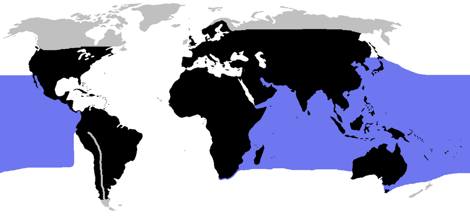 Fayl:World.distribution.serpentes.1.png