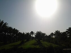 Skyline of Al-Tarmia tumani