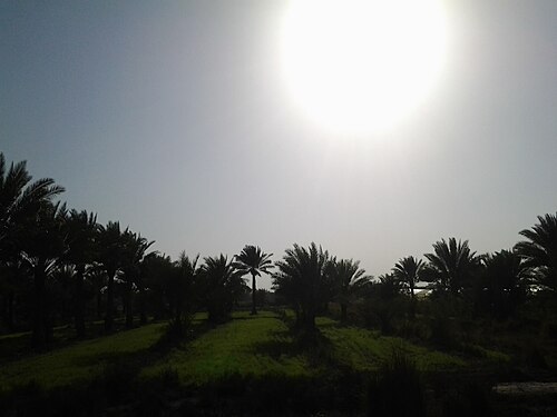 Al-Tarmiya tumani