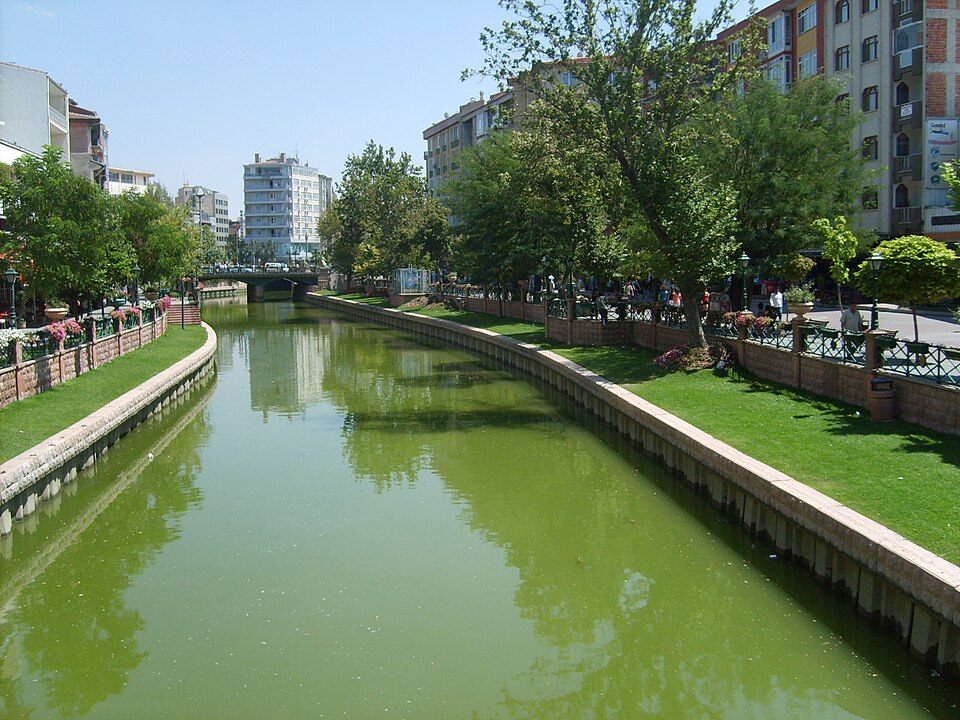 Fayl:Adalar porsuk1.JPG