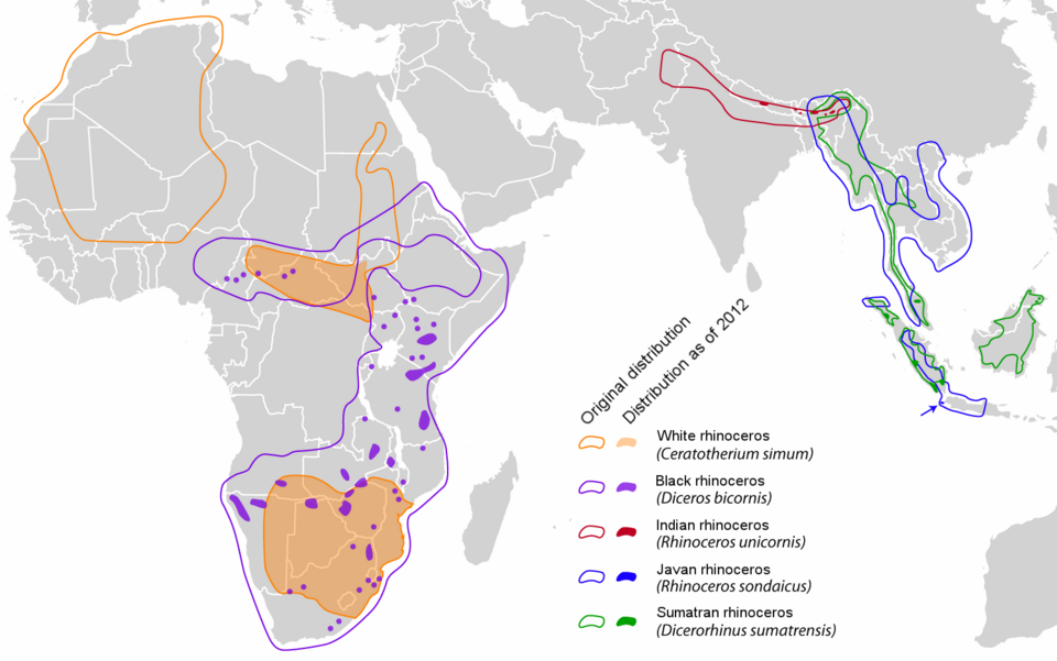 Fayl:Rhinocerotidae distribution map en.png