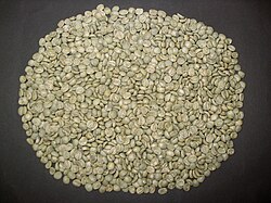 Braziliyadan qovurilmagan („yashil“) qahva (Coffea arabica) urugʻlari.