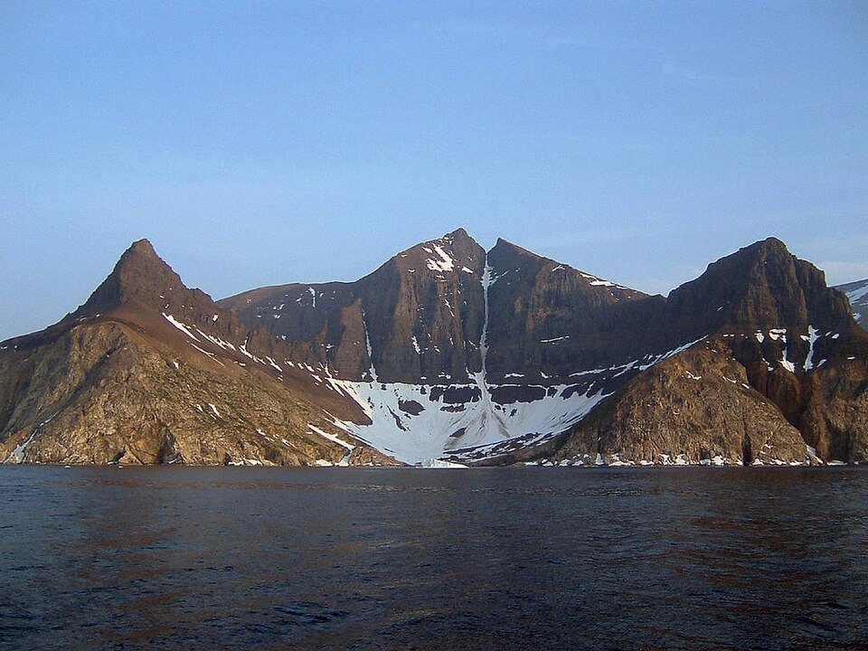 Fayl:Bishop's mitre Labrador.jpg
