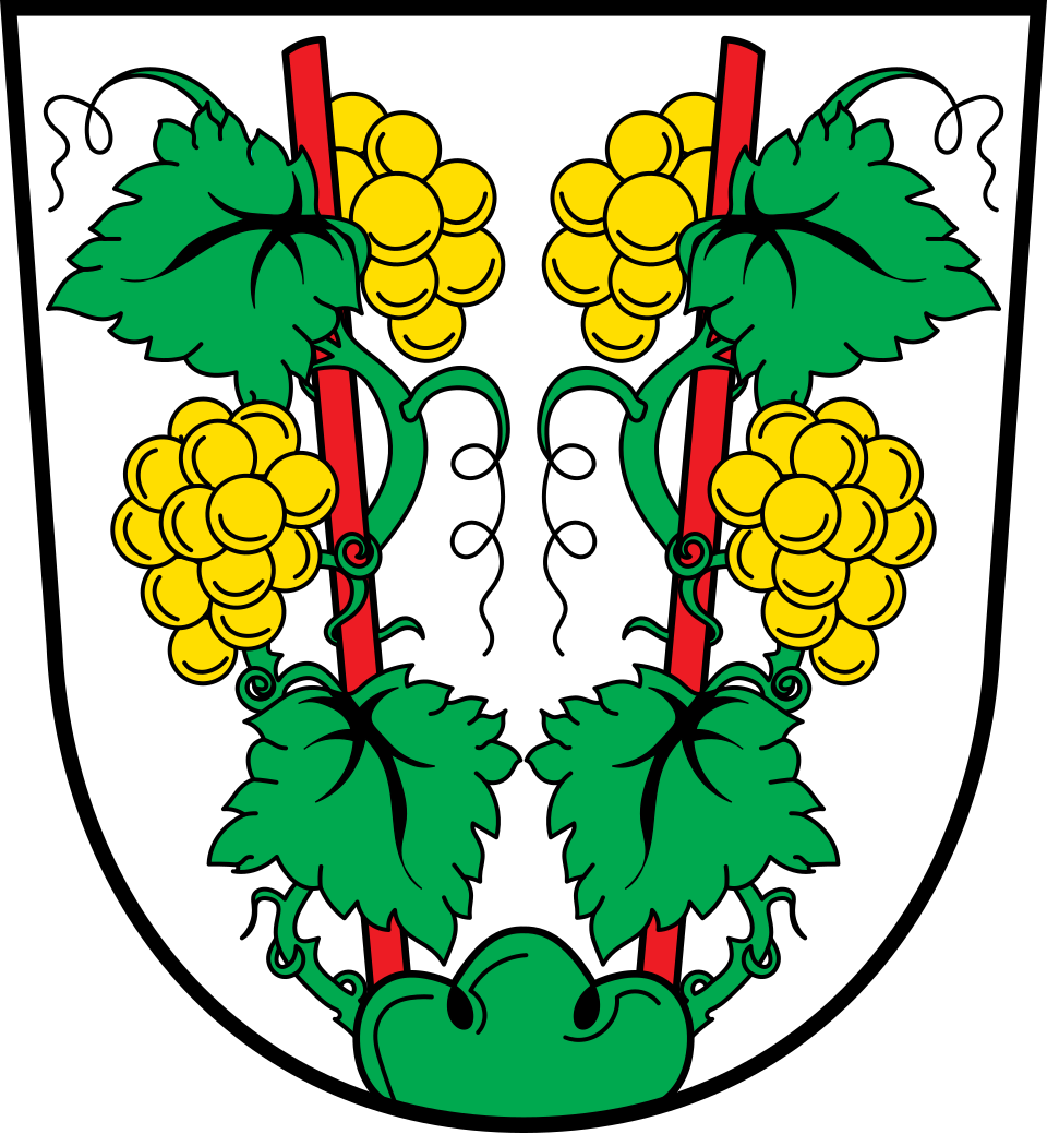 Fayl:DEU Euerdorf COA.svg