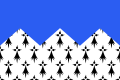 {{{rasmiy_nomi}}}ning bayrogʻi