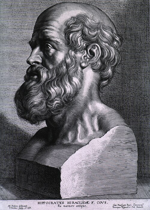 Fayl:Hippocrates rubens.jpg
