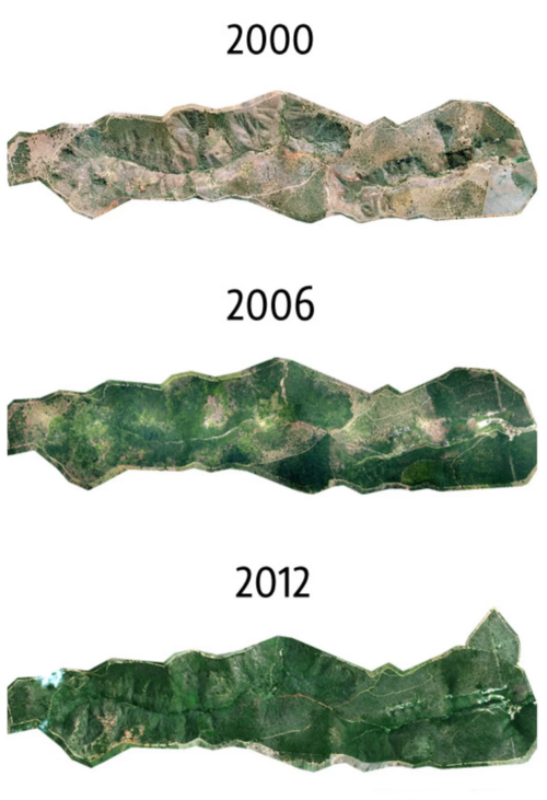 Fayl:Reboisement par l'Institut Terra.png