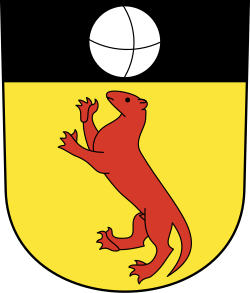 Fayl:CHE Gossau ZH COA.svg