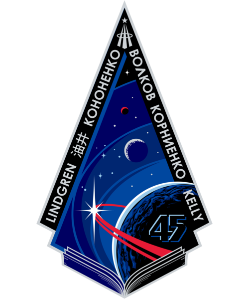 Fayl:ISS Expedition 45 Patch.png