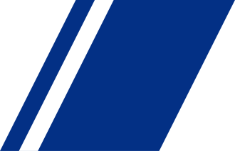 Fayl:Indian Coast Guard racing stripe.svg