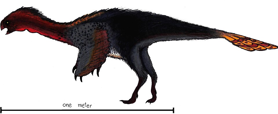 Fayl:Machairasaurus.jpg
