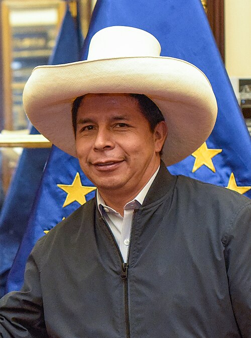 Fayl:Pedro Castillo EU.jpg