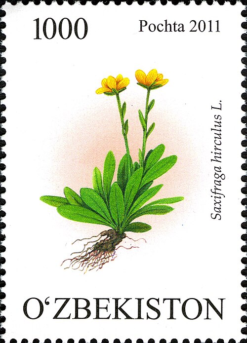 Fayl:Stamps of Uzbekistan, 2011-05.jpg