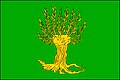 {{{rasmiy_nomi}}}ning bayrogʻi