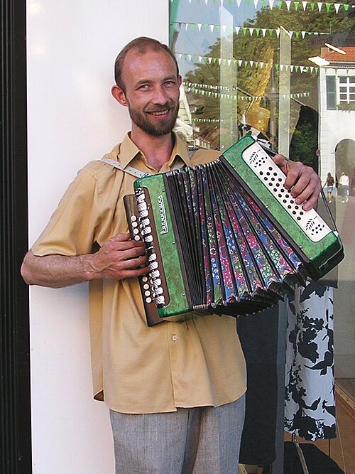 Fayl:Busking Accordionist.jpg