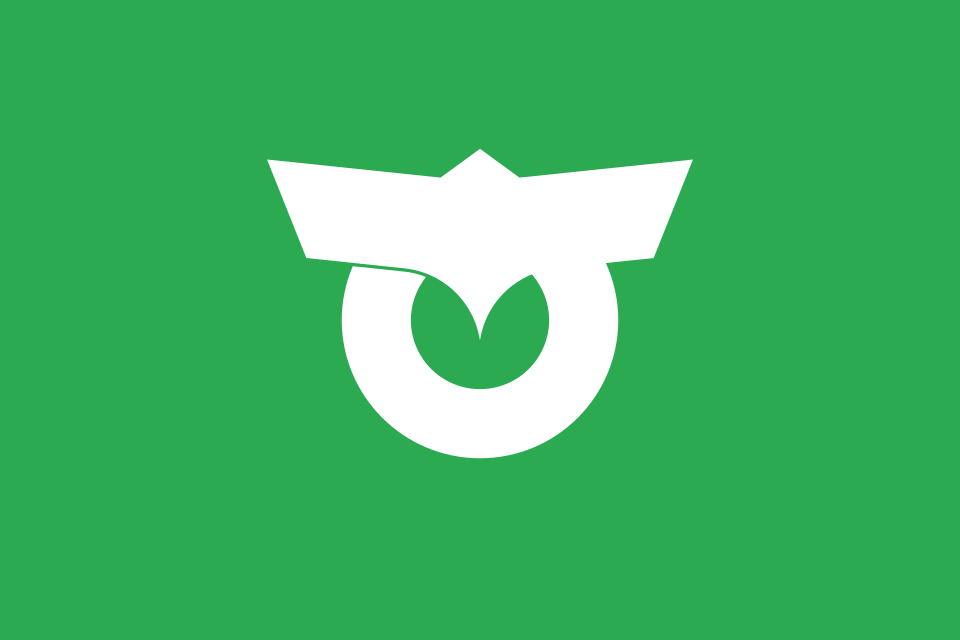 Fayl:Flag of Otari, Nagano.svg