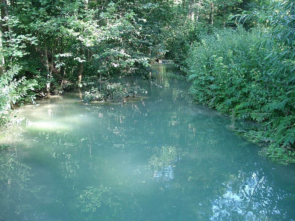 Fayl:Kalkach.JPG