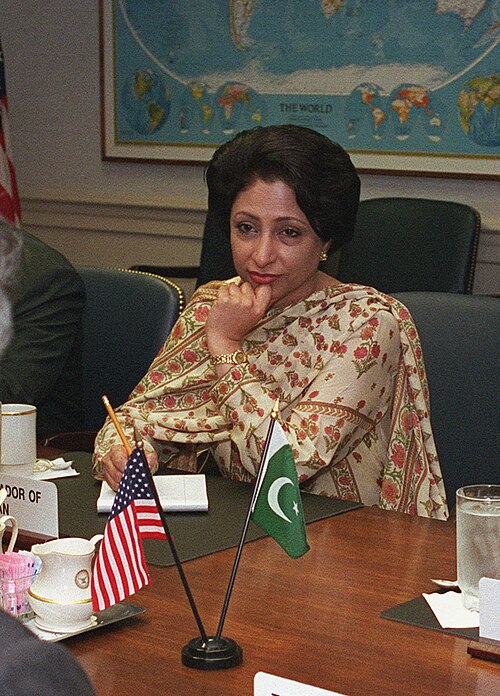 Fayl:Maleeha Lodhi, Pakistan-US talks 2001.jpg
