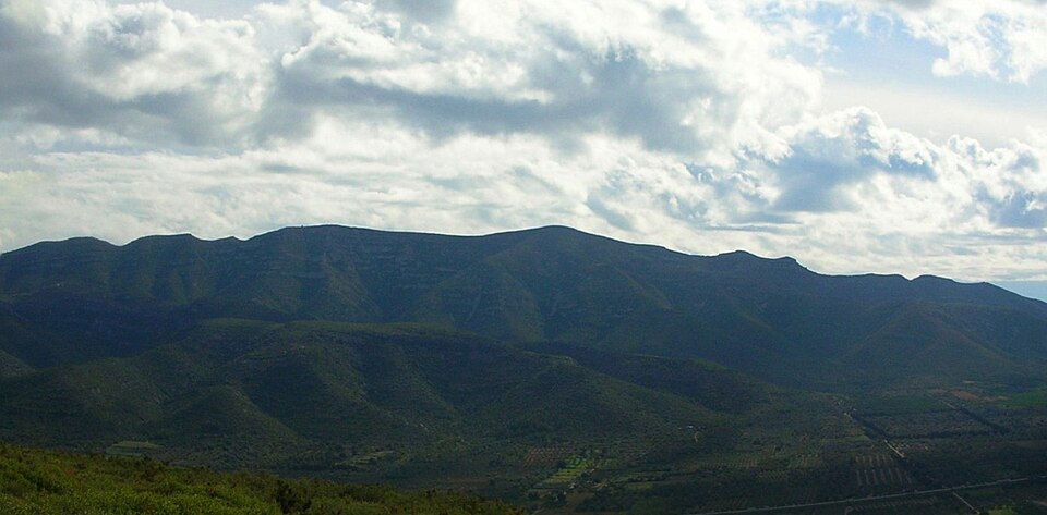 Fayl:Montsia1c.JPG
