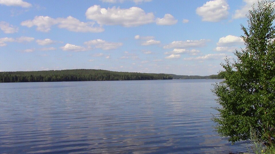 Fayl:Saarijärvi järvi.jpg