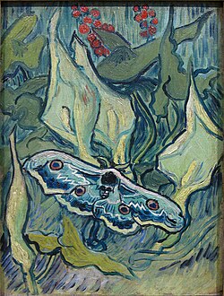 Green Peacock Moth 1889-yil may Van Gogh muzeyi, Amsterdam (F610)