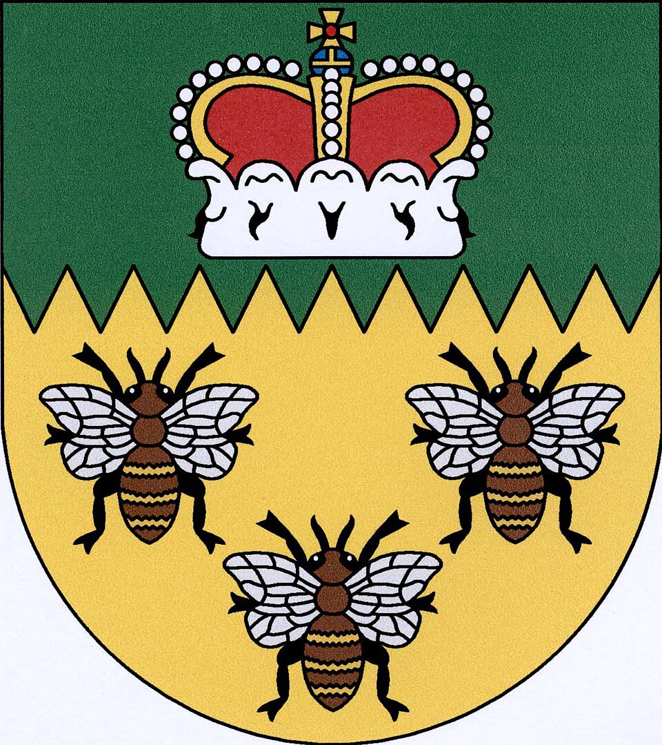 Fayl:Bynovec CoA.jpg