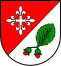 Hisel