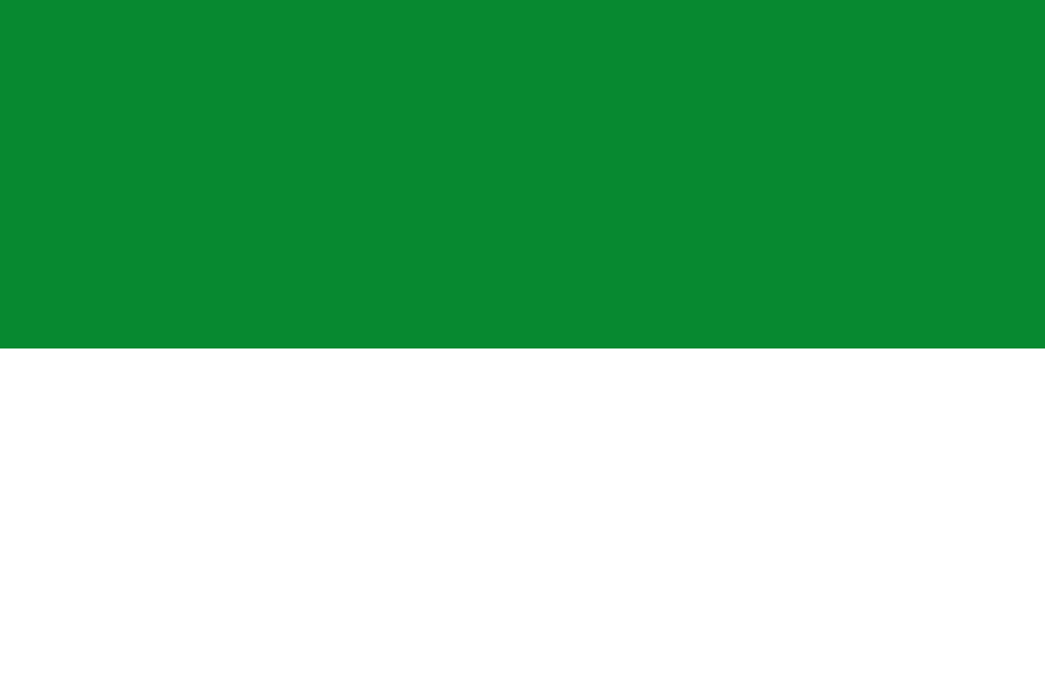 Fayl:Flag of La Guajira.svg