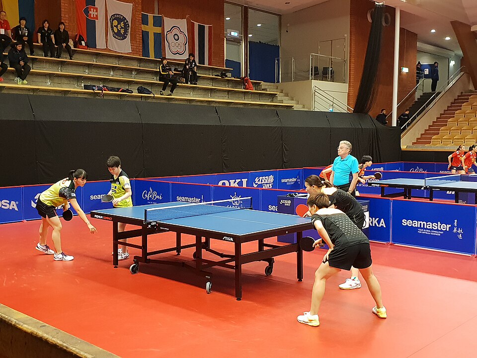 Fayl:Swedish Open Championships, 2018 01.jpg