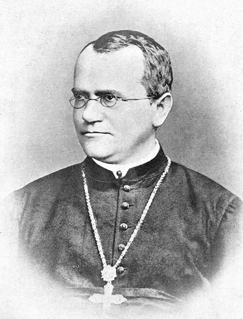 Fayl:Gregor Mendel Monk.jpg