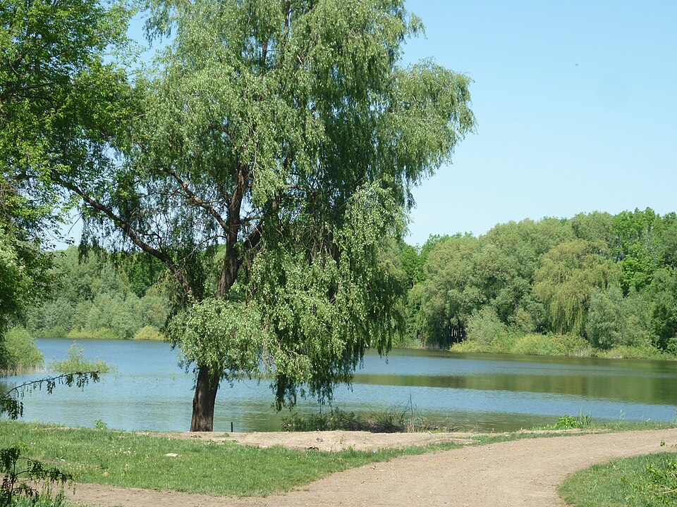 Fayl:Hovkivka.JPG