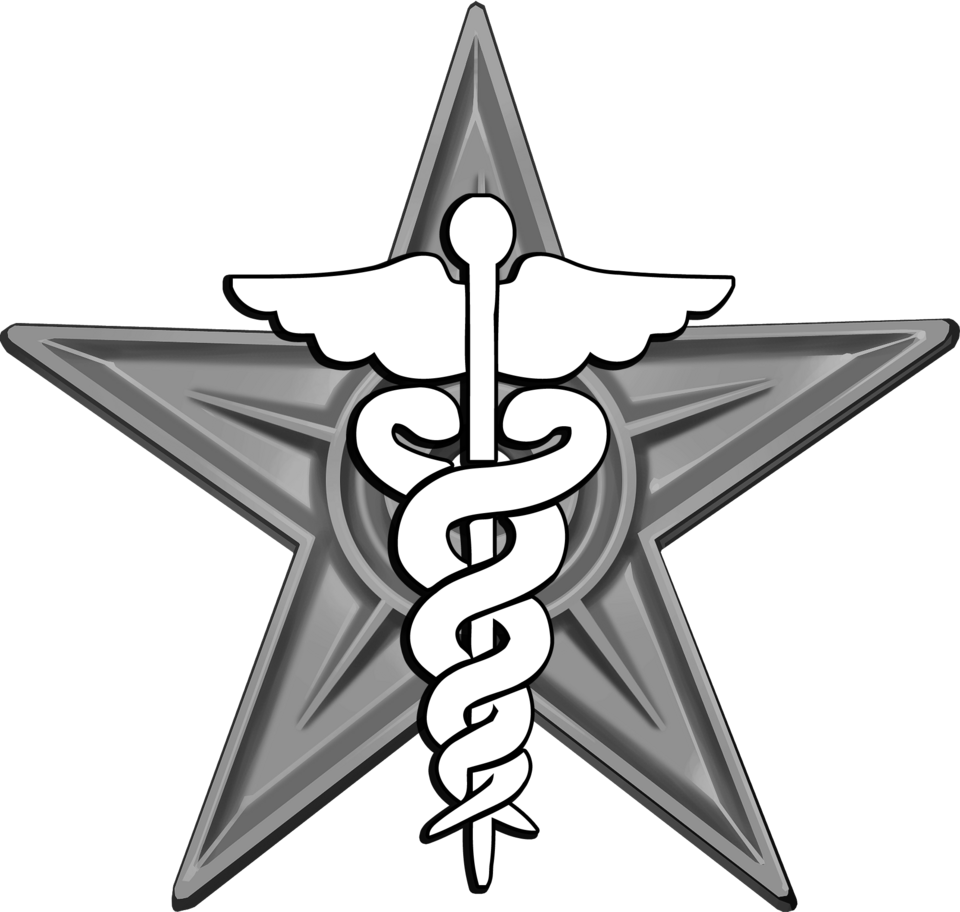 Fayl:Medicine Barnstar Hires.png