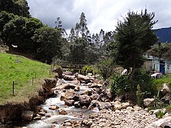 Arcabuco daryosi